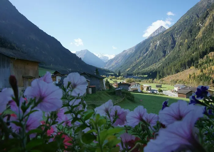 Voellenklee * Neustift im Stubaital